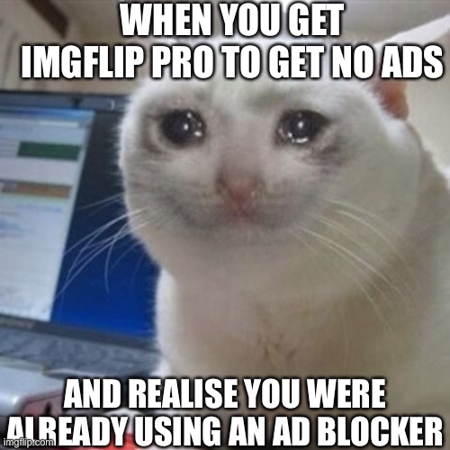 Crying cat | WHEN YOU GET IMGFLIP PRO TO GET NO ADS; AND REALISE YOU WERE ALREADY USING AN AD BLOCKER | image tagged in crying cat | made w/ Imgflip meme maker