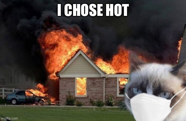 Grumpy cat masked fire | I CHOSE HOT | image tagged in grumpy cat masked fire | made w/ Imgflip meme maker