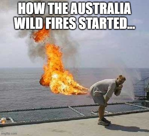Fart Wild Fires | HOW THE AUSTRALIA WILD FIRES STARTED... | image tagged in memes,fire,fart | made w/ Imgflip meme maker