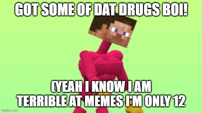 Yeet Steve | GOT SOME OF DAT DRUGS BOI! (YEAH I KNOW I AM TERRIBLE AT MEMES I'M ONLY 12 | image tagged in toilet paper | made w/ Imgflip meme maker