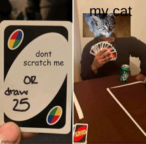 what? | my cat; dont scratch me | image tagged in memes,uno draw 25 cards | made w/ Imgflip meme maker