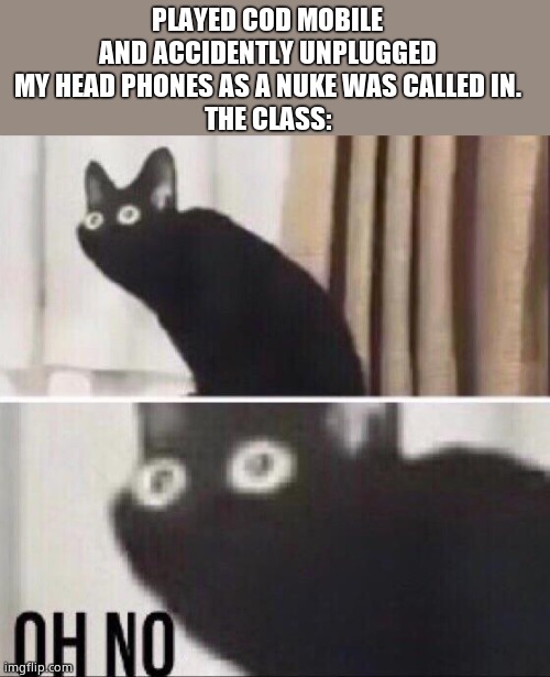 Oh no cat | PLAYED COD MOBILE AND ACCIDENTLY UNPLUGGED MY HEAD PHONES AS A NUKE WAS CALLED IN.
THE CLASS: | image tagged in oh no cat | made w/ Imgflip meme maker