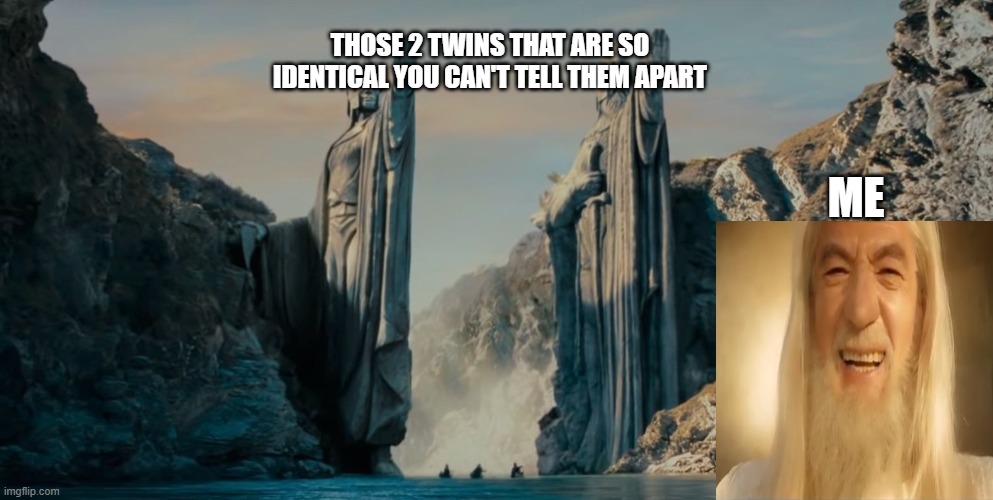LOTR 2 towers | THOSE 2 TWINS THAT ARE SO IDENTICAL YOU CAN'T TELL THEM APART; ME | image tagged in lotr 2 towers | made w/ Imgflip meme maker