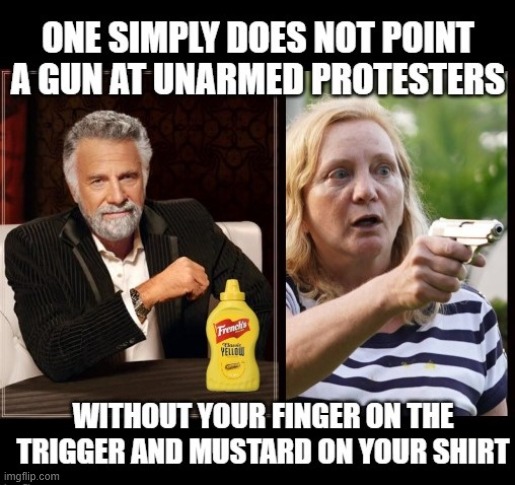 Gun Weilding Mustard Lawyer | image tagged in protest,guns,mustard,lawyers,crazy | made w/ Imgflip meme maker