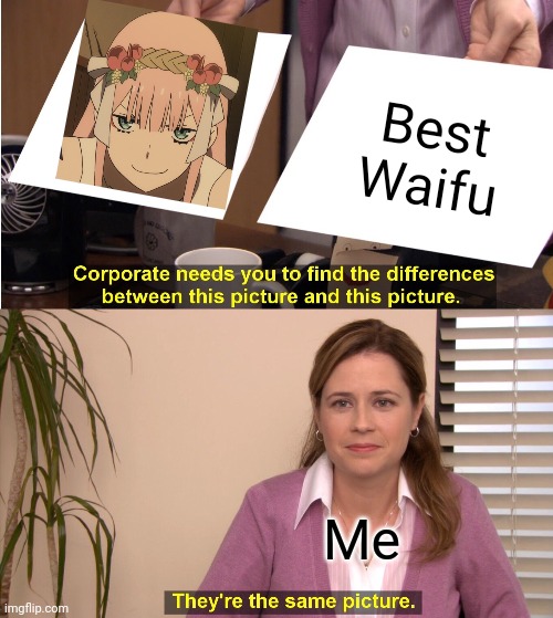 They're The Same Picture | Best Waifu; Me | image tagged in darling in the franxx | made w/ Imgflip meme maker
