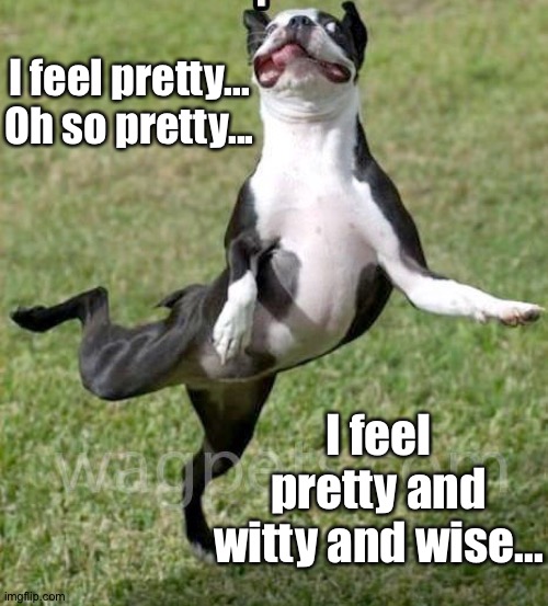 I feel pretty...
Oh so pretty... I feel pretty and witty and wise... | made w/ Imgflip meme maker