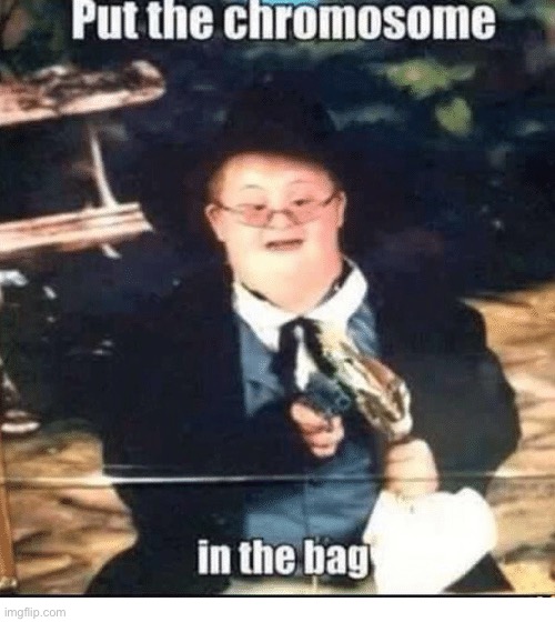 Put the chromosome in the bag | image tagged in put the chromosome in the bag | made w/ Imgflip meme maker