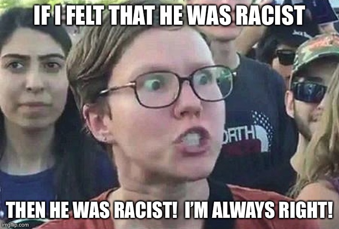 Triggered Liberal | IF I FELT THAT HE WAS RACIST THEN HE WAS RACIST!  I’M ALWAYS RIGHT! | image tagged in triggered liberal | made w/ Imgflip meme maker