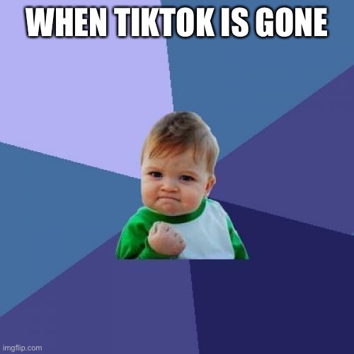 *MARKED* success kid | WHEN TIKTOK IS GONE | image tagged in memes,success kid | made w/ Imgflip meme maker