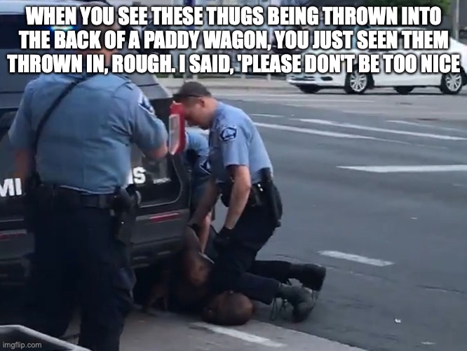 WHEN YOU SEE THESE THUGS BEING THROWN INTO THE BACK OF A PADDY WAGON, YOU JUST SEEN THEM THROWN IN, ROUGH. I SAID, 'PLEASE DON'T BE TOO NICE | made w/ Imgflip meme maker