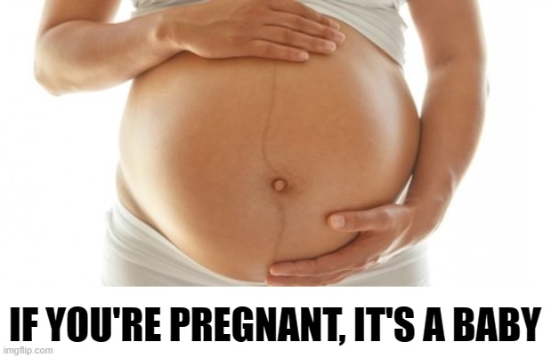 I know... I know.... It's much more complicated than rocket science. | IF YOU'RE PREGNANT, IT'S A BABY | image tagged in pregnancy,abortion | made w/ Imgflip meme maker