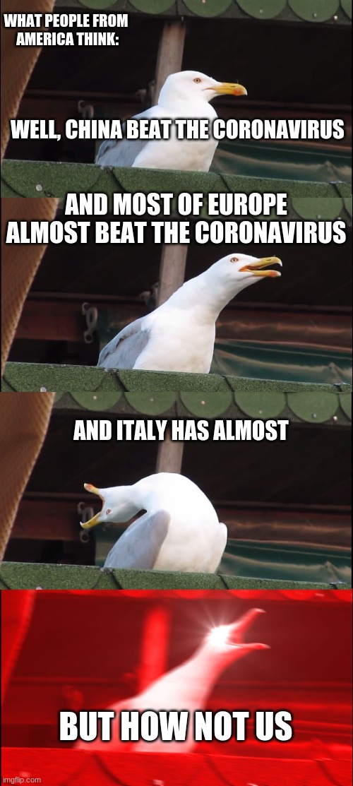 HOW?!Covid-19 | WHAT PEOPLE FROM 
AMERICA THINK:; WELL, CHINA BEAT THE CORONAVIRUS; AND MOST OF EUROPE ALMOST BEAT THE CORONAVIRUS; AND ITALY HAS ALMOST; BUT HOW NOT US | image tagged in memes,inhaling seagull,coronavirus,covid-19,funny memes,funny | made w/ Imgflip meme maker