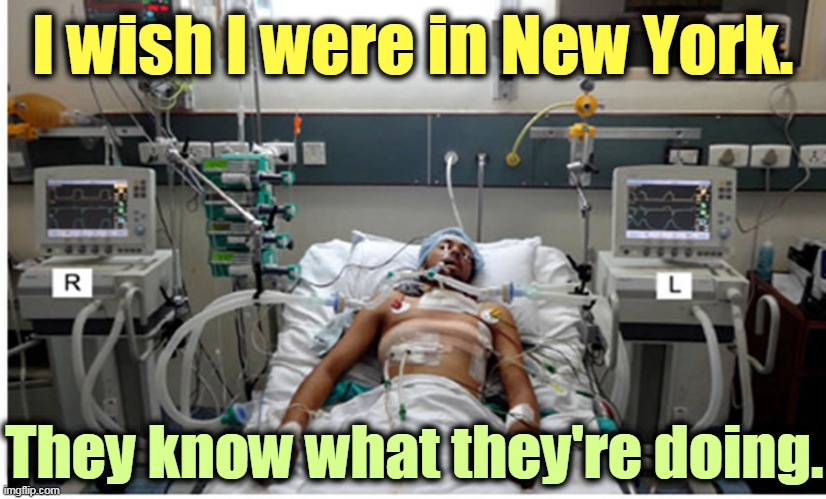 75% of the new cases are in states that voted for Trump. The virus doesn't know your politics and isn't taking the summer off. | I wish I were in New York. They know what they're doing. | image tagged in hospital patient on ventilator - death,coronavirus,covid-19,hospital,pandemic,new york | made w/ Imgflip meme maker
