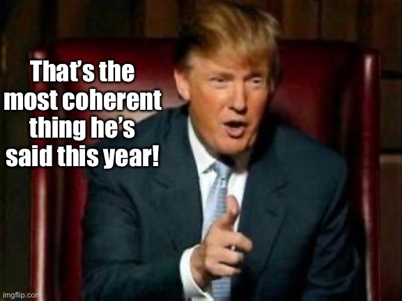 Donald Trump | That’s the most coherent thing he’s said this year! | image tagged in donald trump | made w/ Imgflip meme maker