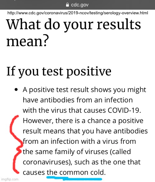False positives | http://www.cdc.gov/coronavirus/2019-ncov/testing/serology-overview.html | image tagged in covid-19 | made w/ Imgflip meme maker