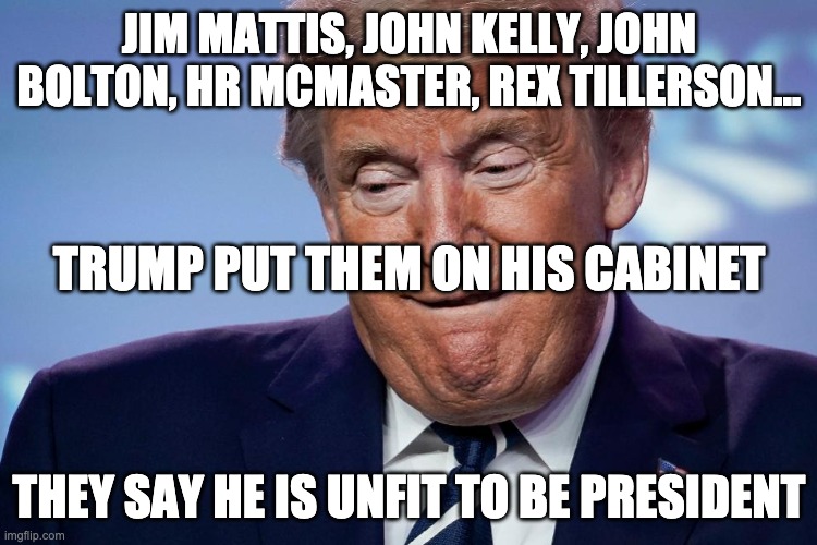JIM MATTIS, JOHN KELLY, JOHN BOLTON, HR MCMASTER, REX TILLERSON... TRUMP PUT THEM ON HIS CABINET; THEY SAY HE IS UNFIT TO BE PRESIDENT | image tagged in donald trump | made w/ Imgflip meme maker