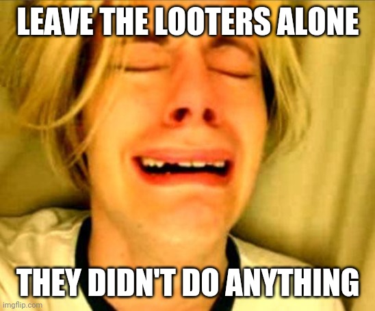 People defending looters from justice | LEAVE THE LOOTERS ALONE; THEY DIDN'T DO ANYTHING | image tagged in leave britney alone | made w/ Imgflip meme maker