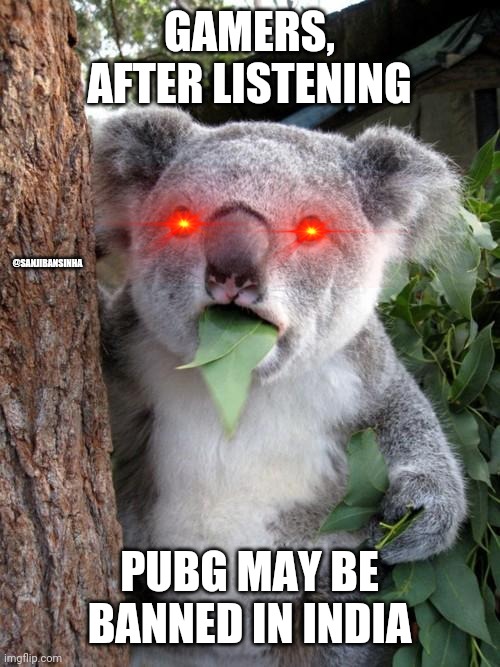 Gamers_reaction | GAMERS, AFTER LISTENING; @SANJIBANSINHA; PUBG MAY BE BANNED IN INDIA | image tagged in memes,surprised koala | made w/ Imgflip meme maker