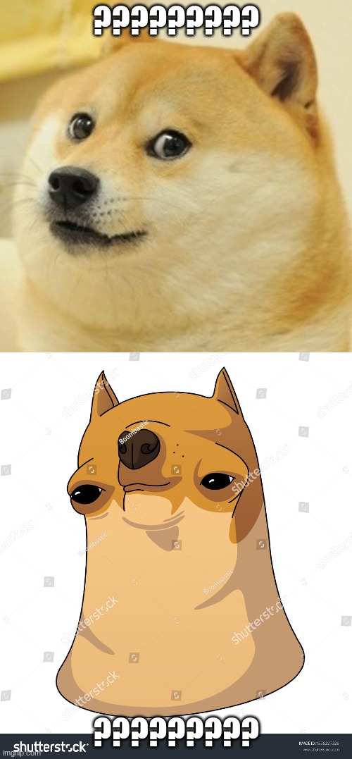 The two doges | ????????? ????????? | image tagged in memes,doge | made w/ Imgflip meme maker