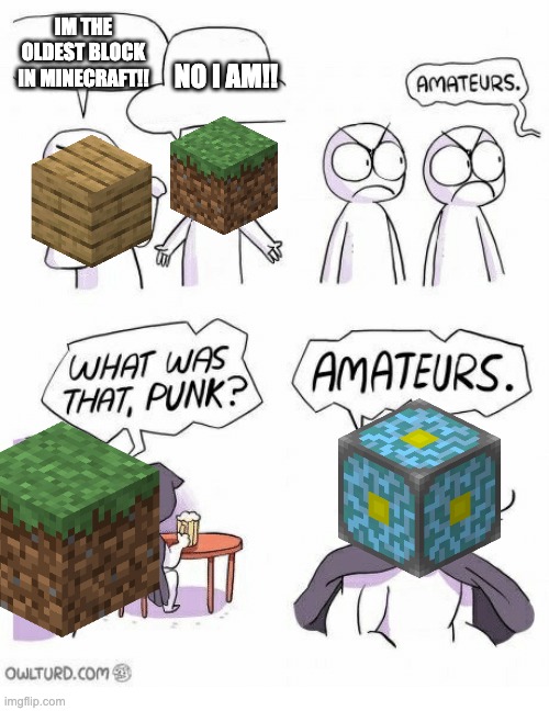 Amateurs | IM THE OLDEST BLOCK IN MINECRAFT!! NO I AM!! | image tagged in amateurs,minecraft,old,memes | made w/ Imgflip meme maker