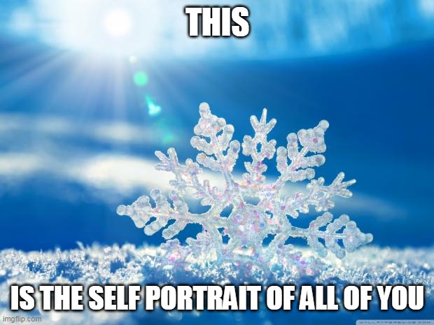 snowflake | THIS IS THE SELF PORTRAIT OF ALL OF YOU | image tagged in snowflake | made w/ Imgflip meme maker