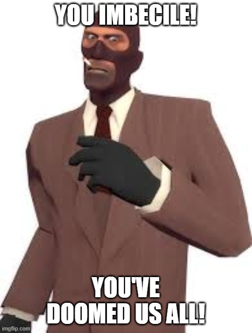 tf2 | YOU IMBECILE! YOU'VE DOOMED US ALL! | image tagged in okay | made w/ Imgflip meme maker