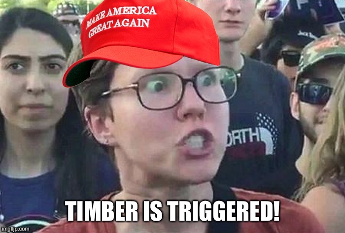 Triggered conservative | TIMBER IS TRIGGERED! | image tagged in triggered conservative | made w/ Imgflip meme maker