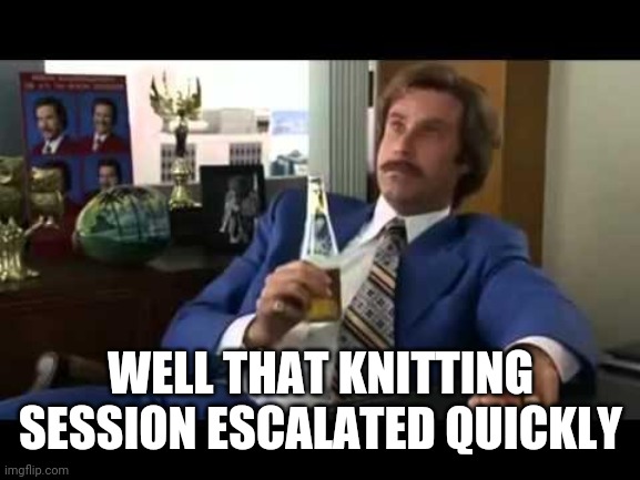 Well That Escalated Quickly Meme | WELL THAT KNITTING SESSION ESCALATED QUICKLY | image tagged in memes,well that escalated quickly | made w/ Imgflip meme maker