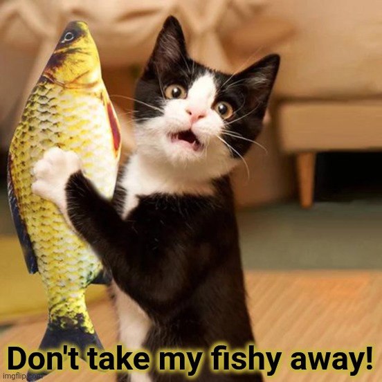 Don't take my fishy away! | image tagged in cat,cat food,fishy,eats | made w/ Imgflip meme maker