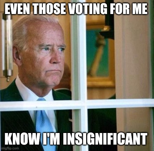 Sad Joe Biden | EVEN THOSE VOTING FOR ME KNOW I'M INSIGNIFICANT | image tagged in sad joe biden | made w/ Imgflip meme maker