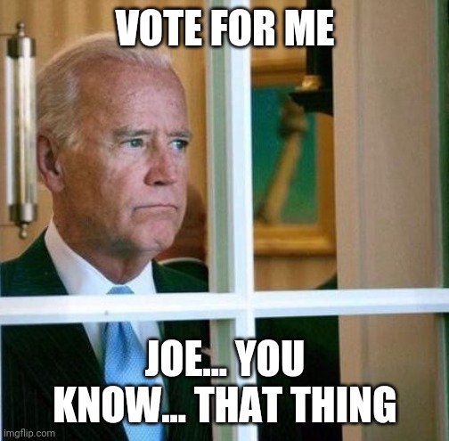 Sad Joe Biden | VOTE FOR ME JOE... YOU KNOW... THAT THING | image tagged in sad joe biden | made w/ Imgflip meme maker