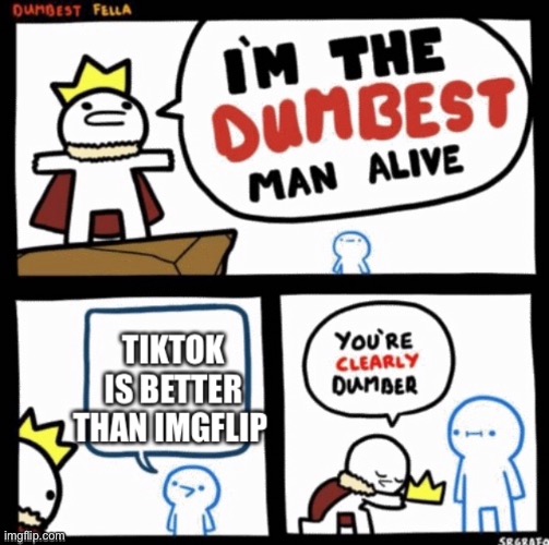No caption needed | image tagged in dumb,i'm the dumbest man alive,tiktok,imgflip | made w/ Imgflip meme maker
