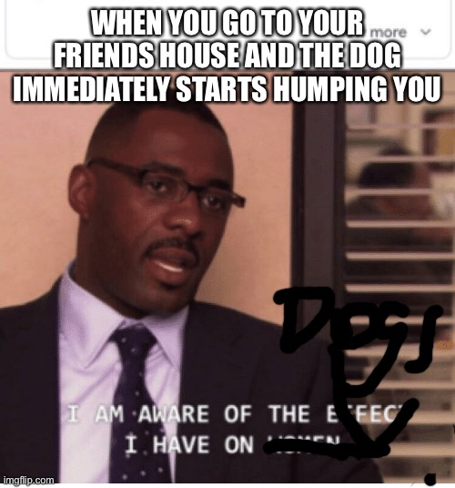 I am aware of the effect I have on women | WHEN YOU GO TO YOUR FRIENDS HOUSE AND THE DOG IMMEDIATELY STARTS HUMPING YOU | image tagged in i am aware of the effect i have on women | made w/ Imgflip meme maker