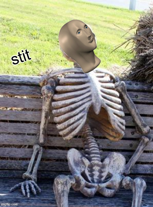 Waiting Skeleton Meme | stit | image tagged in memes,waiting skeleton | made w/ Imgflip meme maker