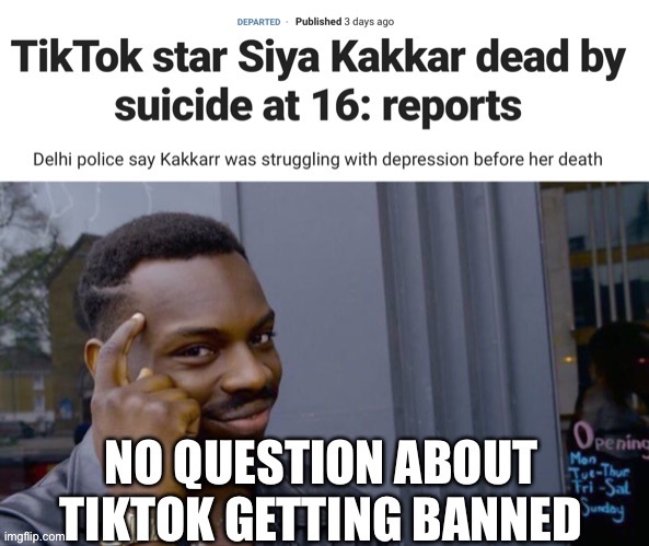 Ban TikTok | image tagged in roll safe think about it | made w/ Imgflip meme maker