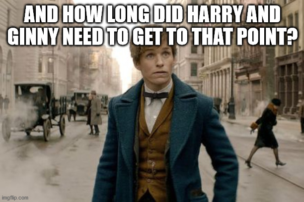 Fantastic Beasts Timesheet Meme | AND HOW LONG DID HARRY AND GINNY NEED TO GET TO THAT POINT? | image tagged in fantastic beasts timesheet meme | made w/ Imgflip meme maker