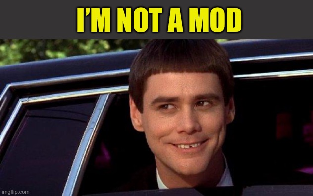dumb and dumber | I’M NOT A MOD | image tagged in dumb and dumber | made w/ Imgflip meme maker
