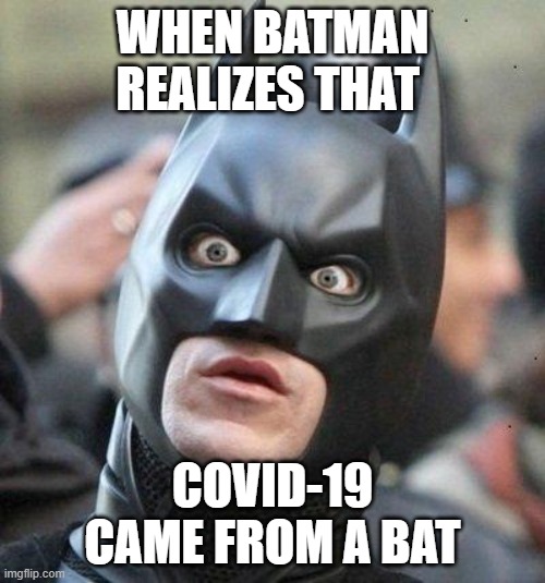 Shocked Batman | WHEN BATMAN REALIZES THAT; COVID-19 CAME FROM A BAT | image tagged in shocked batman | made w/ Imgflip meme maker