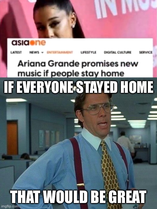 Stay home | IF EVERYONE STAYED HOME; THAT WOULD BE GREAT | image tagged in memes,that would be great | made w/ Imgflip meme maker
