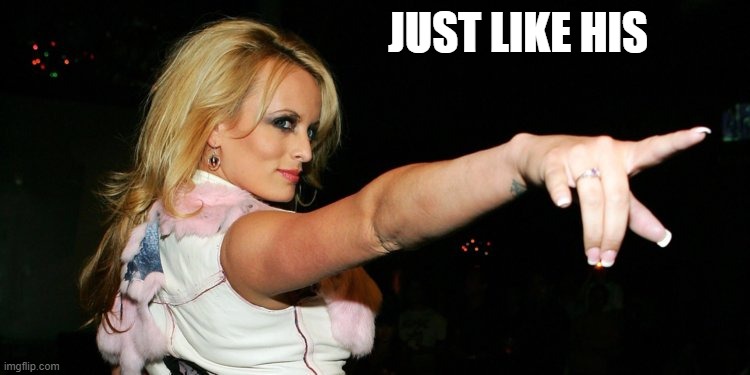 Stormy Daniels | JUST LIKE HIS | image tagged in stormy daniels | made w/ Imgflip meme maker