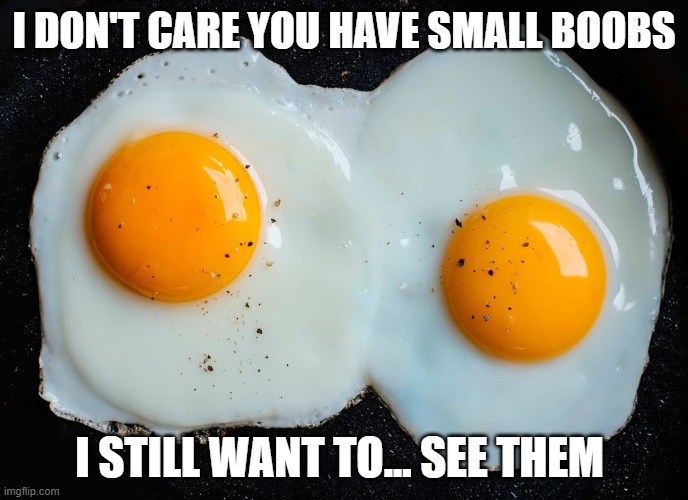 small boobs, fun | I DON'T CARE YOU HAVE SMALL BOOBS; I STILL WANT TO... SEE THEM | image tagged in boobs,funny meme | made w/ Imgflip meme maker