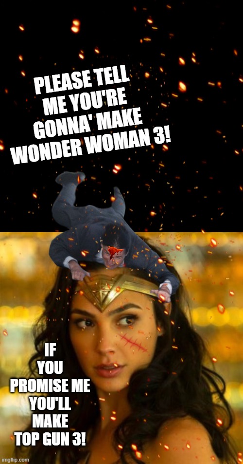 PLEASE TELL ME YOU'RE GONNA' MAKE WONDER WOMAN 3! IF YOU PROMISE ME YOU'LL MAKE TOP GUN 3! | image tagged in wonder cruise | made w/ Imgflip meme maker