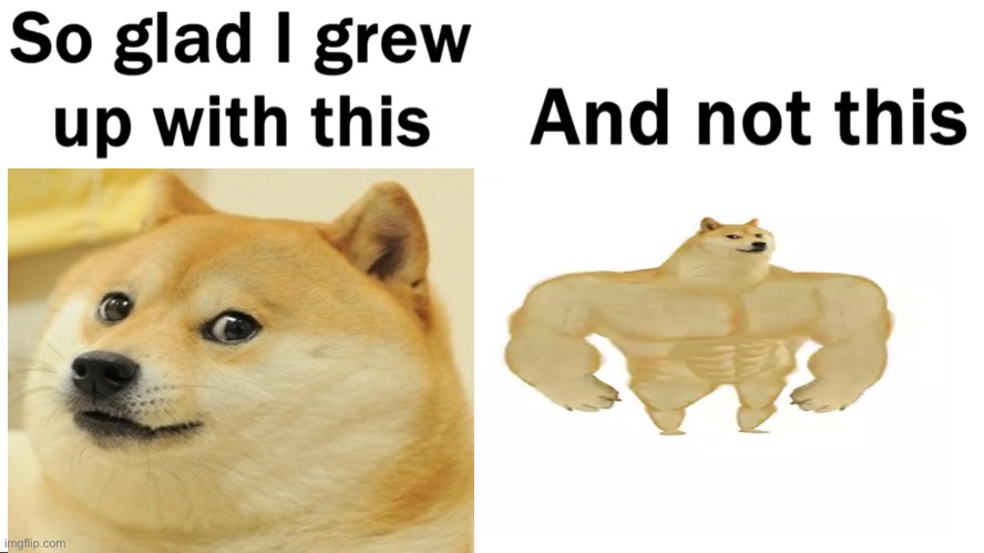 So glad I grew up with fat doge | image tagged in so glad i grew up with this,buff doge vs cheems,doge | made w/ Imgflip meme maker