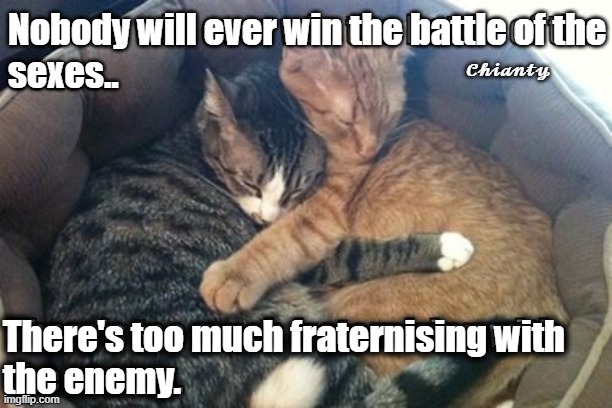 No winners | image tagged in battle of the sexes | made w/ Imgflip meme maker