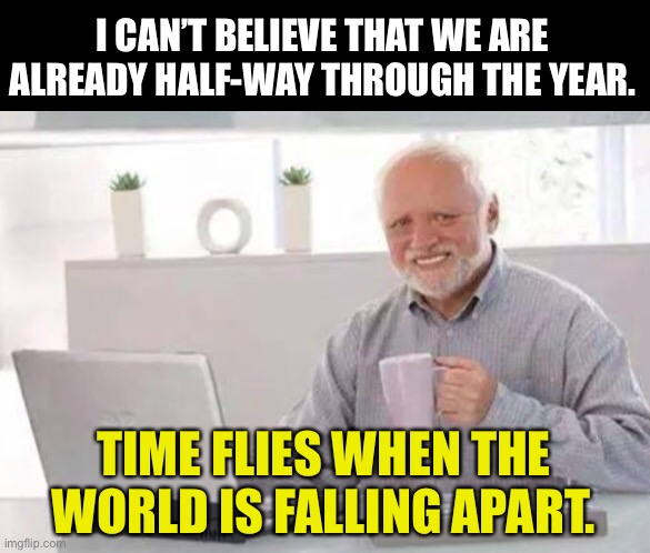 Harold | I CAN’T BELIEVE THAT WE ARE ALREADY HALF-WAY THROUGH THE YEAR. TIME FLIES WHEN THE WORLD IS FALLING APART. | image tagged in harold | made w/ Imgflip meme maker