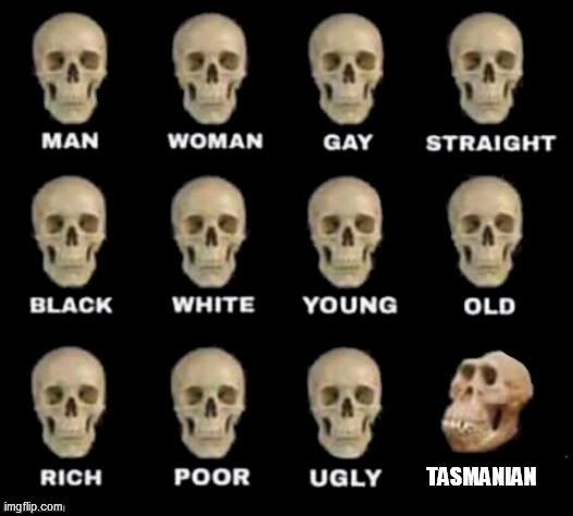 idiot skull Tasmanian | TASMANIAN | image tagged in idiot skull,tasmanian,tasmania,australia | made w/ Imgflip meme maker
