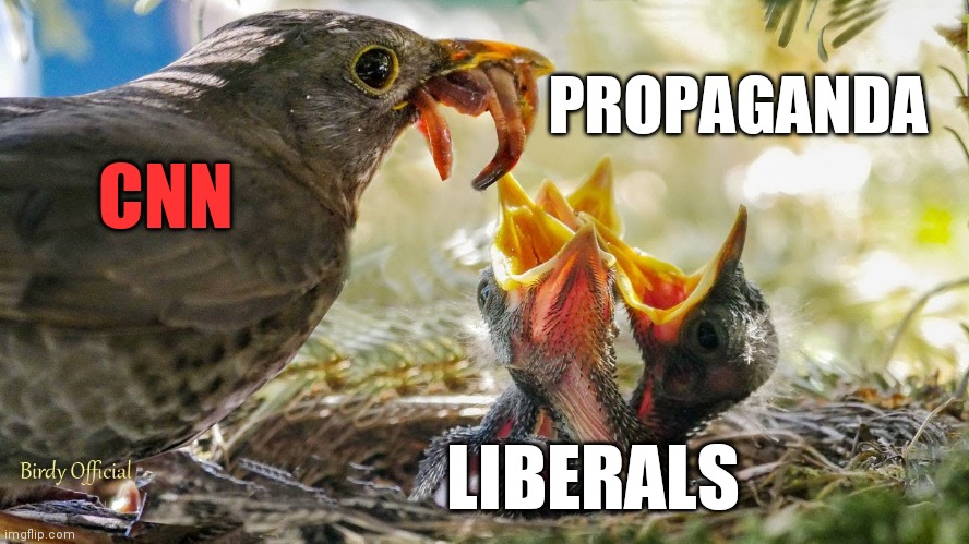 PROPAGANDA; CNN; LIBERALS | image tagged in memes | made w/ Imgflip meme maker