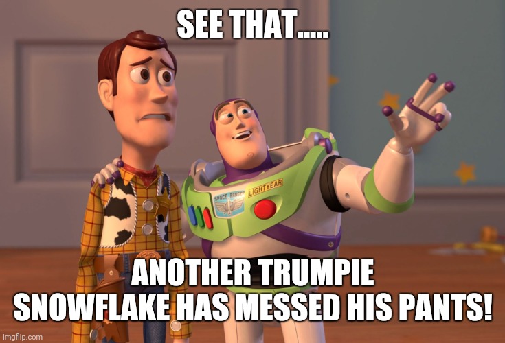 Time for a diaper change!!!!! | SEE THAT..... ANOTHER TRUMPIE SNOWFLAKE HAS MESSED HIS PANTS! | image tagged in memes,x x everywhere | made w/ Imgflip meme maker