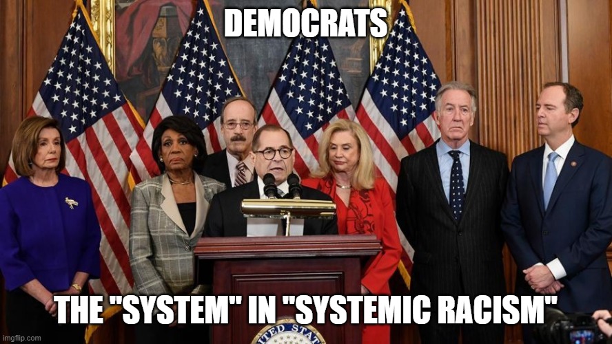 House Democrats | DEMOCRATS THE "SYSTEM" IN "SYSTEMIC RACISM" | image tagged in house democrats | made w/ Imgflip meme maker