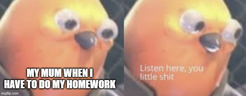 Listen here you little shit bird | MY MUM WHEN I HAVE TO DO MY HOMEWORK | image tagged in listen here you little shit bird | made w/ Imgflip meme maker